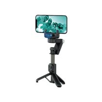 DEVIA Multi-Function Selfie Stick (Black)