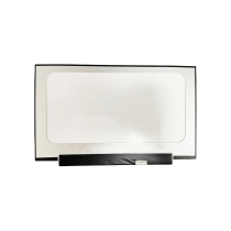 LED Panel 14" - 1920x1080 - 30 Pins - Right (Matte)