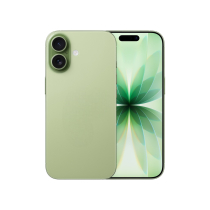 Dummy Type iPhone 17 (Sage)